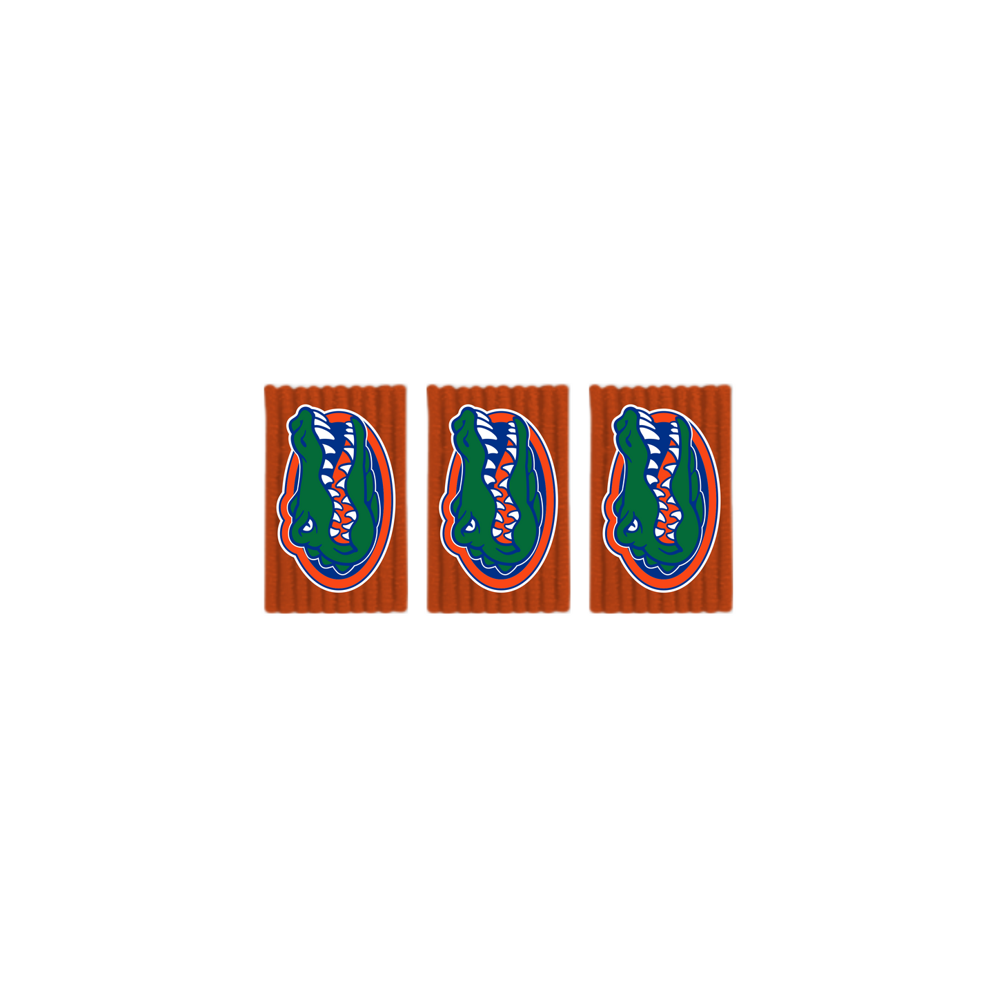 University of Florida Out Loops