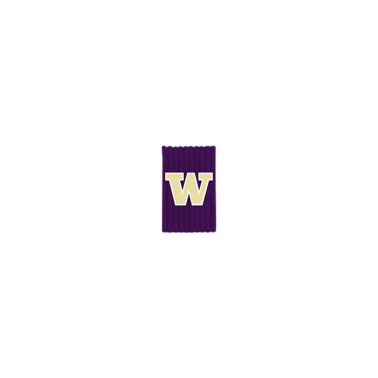 University of Washington Out Loops