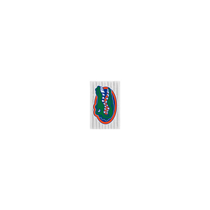 University of Florida Out Loops