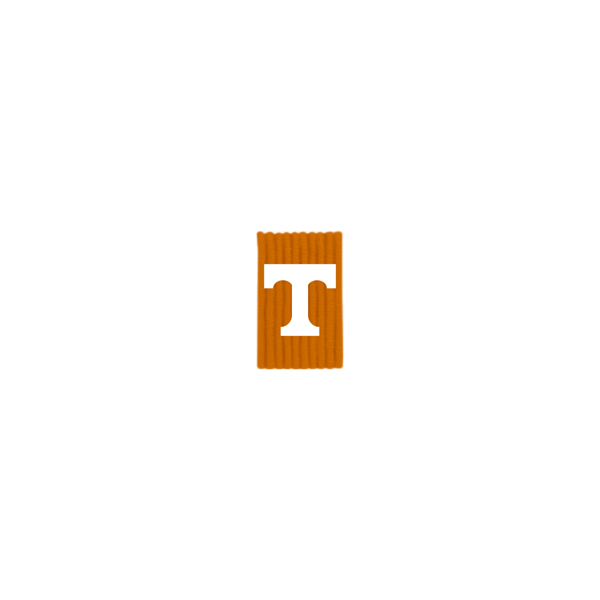 University of Tennessee Out Loops