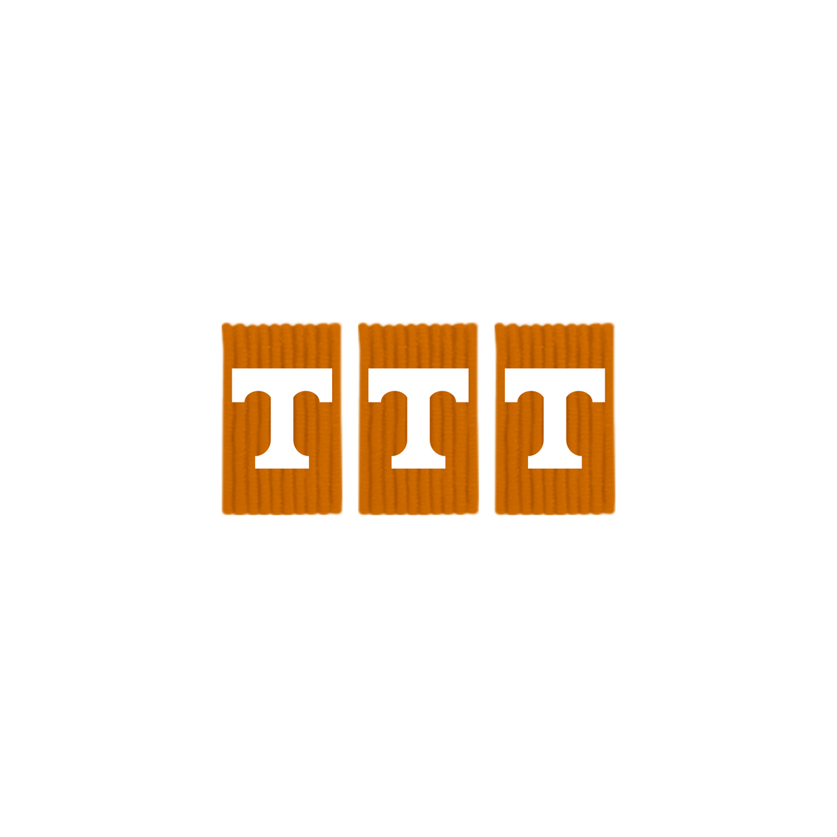 University of Tennessee Out Loops